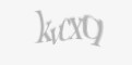 Защитный код