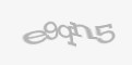 Защитный код