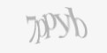 Защитный код