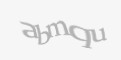 Защитный код